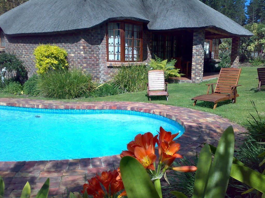 Coral Tree Cottages Harkerville Εξωτερικό φωτογραφία